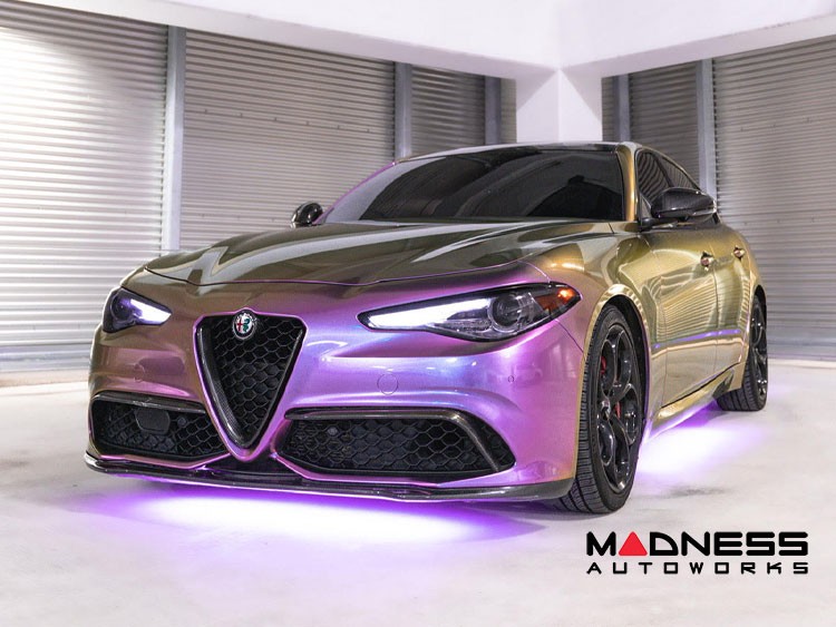 Alfa Romeo Giulia Front V Shield Grill Frame - Carbon Fiber